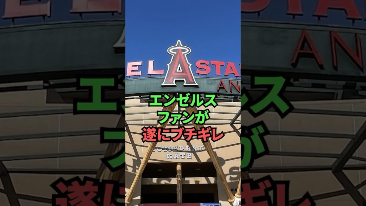 Les fans des Angels sont enfin énervés Les fans des Angels sont enfin énervés