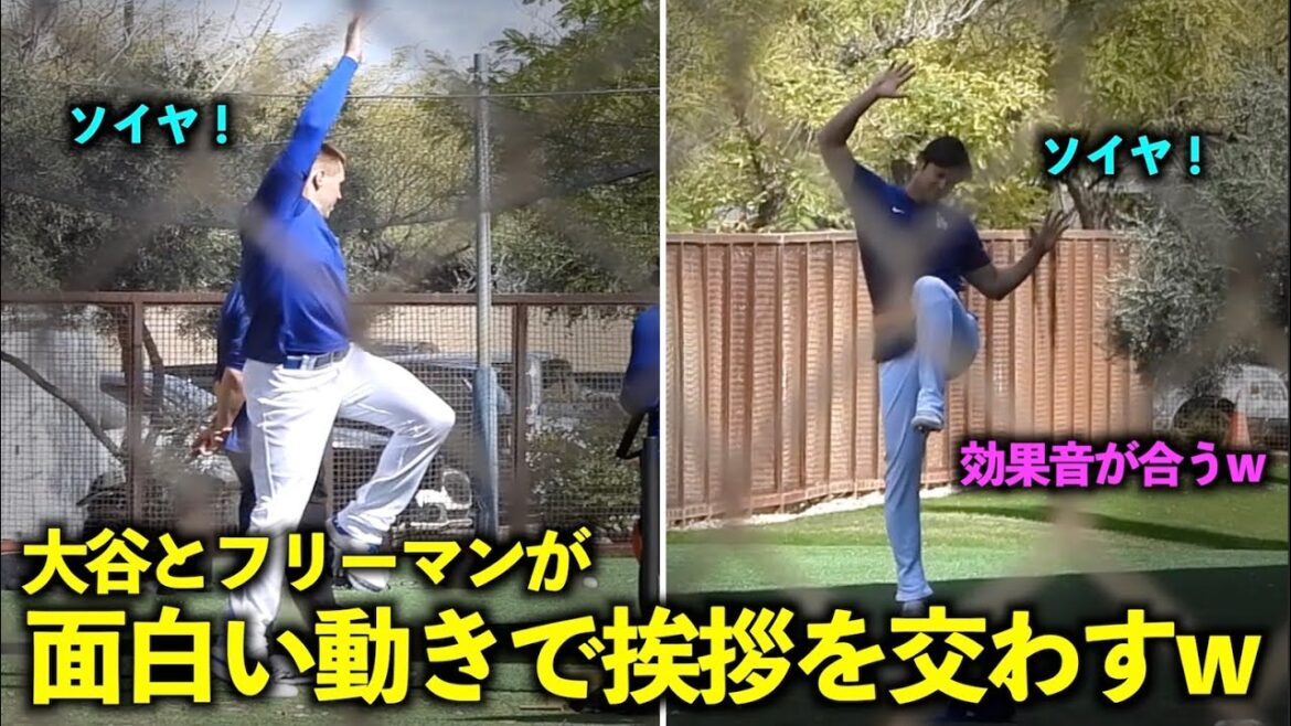 La salutation mystérieuse d'Otani et Freeman est tellement drôle mdr Après ça, ils montrent à quel point leurs articulations sont douces ![Images locales]Entraînement de printemps des Dodgers du 4 mars[Entraînement de printemps]