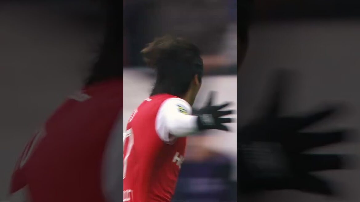 𝐉𝐔𝐍𝐀 𝐈𝐓𝐎