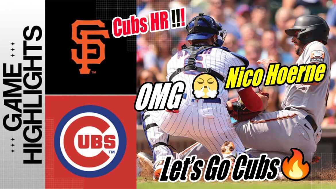 Courses des Cubs de Chicago contre les Giants de San Francisco [Nico Hoerner & Seiya Suzuki] Retour |  Les oursons, c'est parti