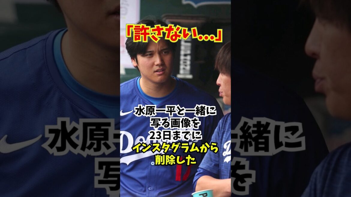 Réaction des fans à Shohei Otani ne laissant qu'une seule image d'Ippei Mizuhara... #Shohei Otani #Ippei Mizuhara #Episode