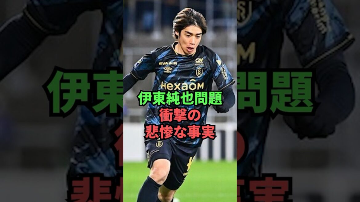 Des faits choquants et tragiques sur l'affaire Junya Ito révélés