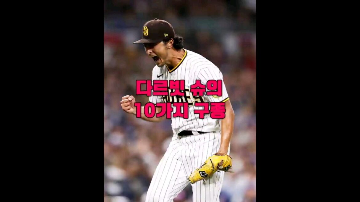 Les 10 emplacements de Darbit Shoe