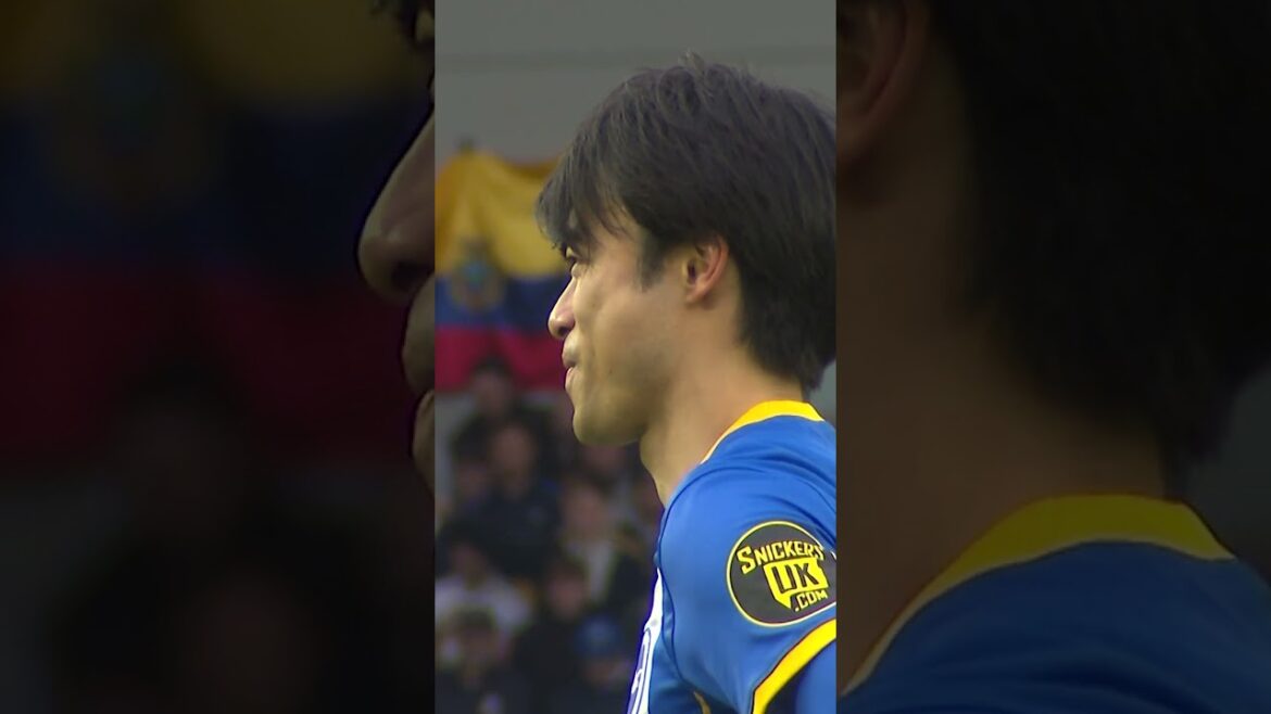 Le meilleur de MITOMA CAM ! Le meilleur de MITOMA CAM !