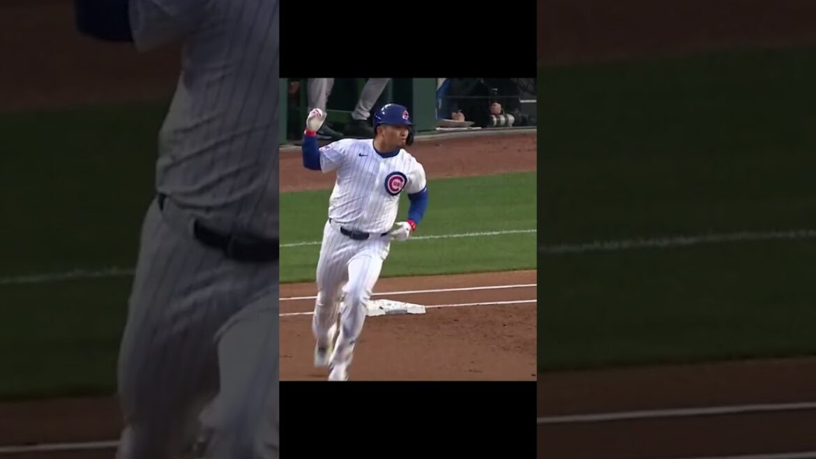 Seiya Suzuki a commencé CETTE saison du bon pied.  #mlb #baseball #joueur de baseball #shorts