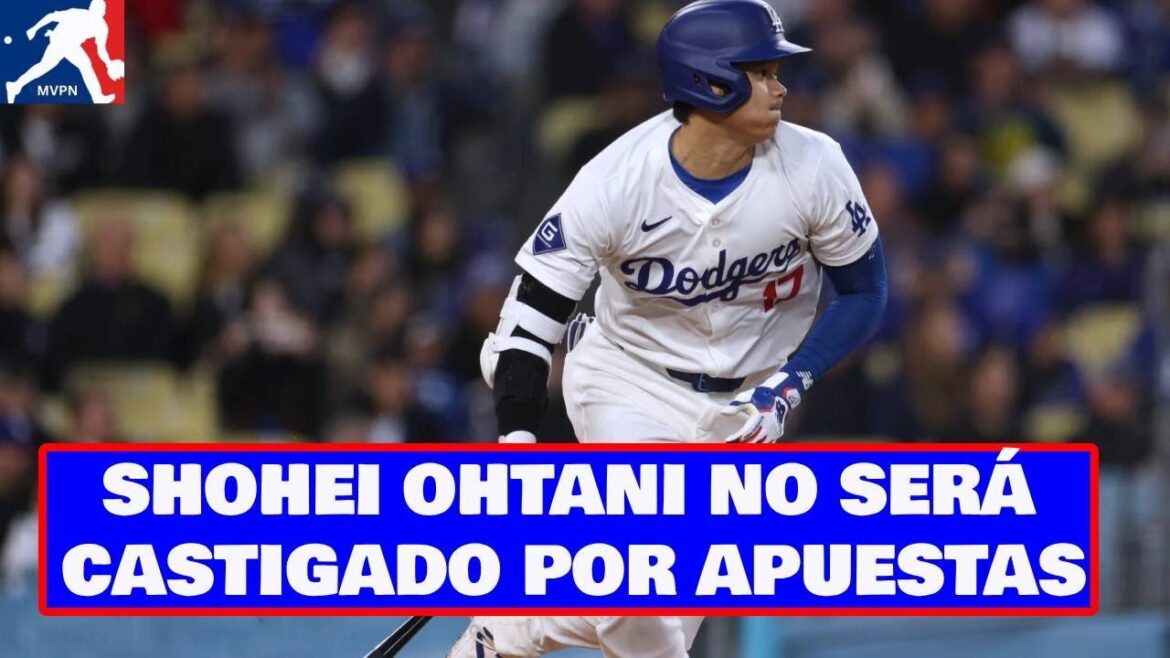 Les ligues majeures ne puniront pas Shohei Ohtani pour paris illégaux. #ohtani #MLB #baseball #baseball