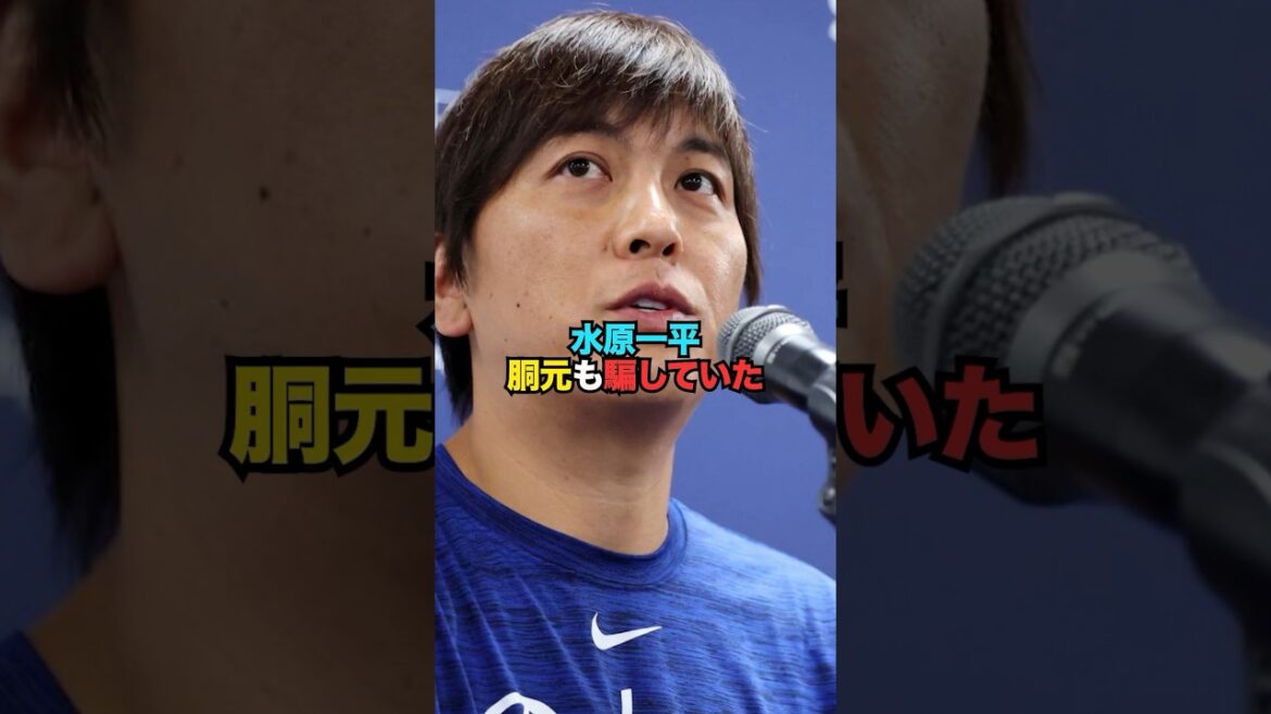 Ippei Mizuhara, son torse a aussi triché...