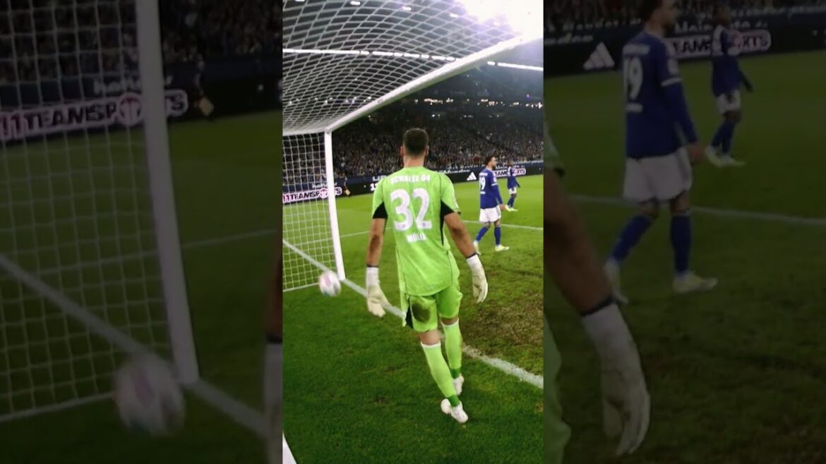 FAITS SAILLANTS |  Ao Tanaka égalise Schalke lors du retour 🇯🇵 |  #f95 #fortuna #shorts