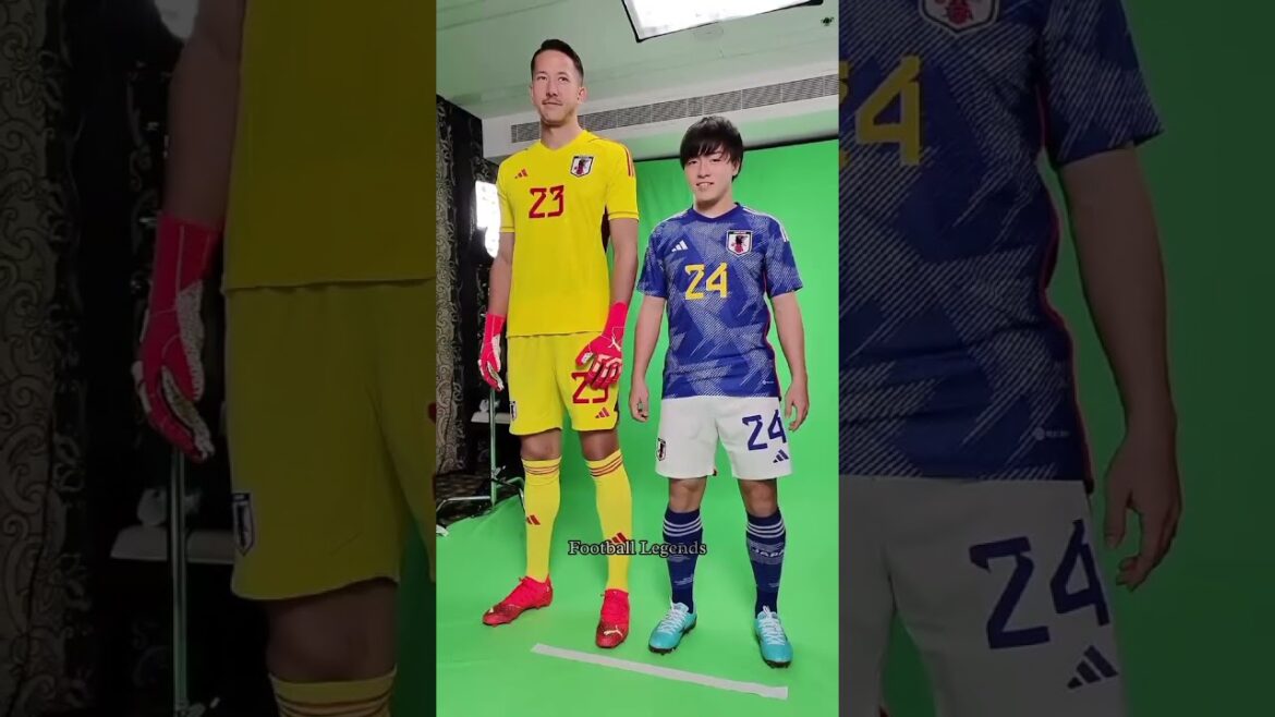 Les joueurs japonais les plus grands et les plus petits Daniel Smith et Yuki Soma #shorts