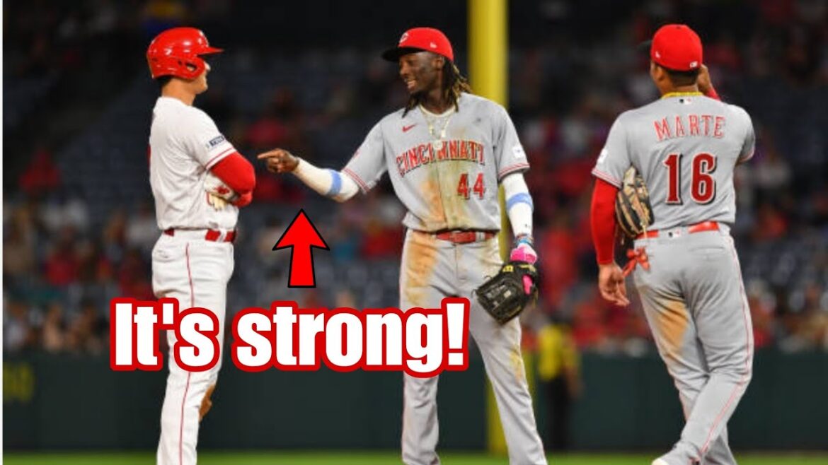 Shohei Ohtani Échange drôle |  MLB