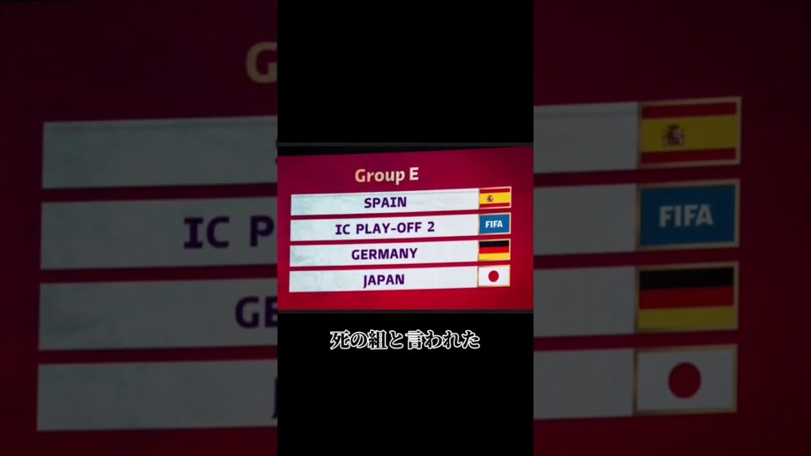 Merci Moriyasu Japon