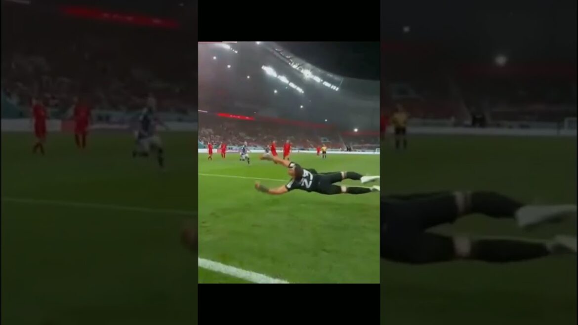 Avant le retour #shorts #japon