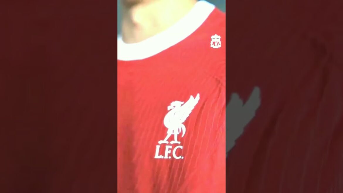 IL EST TEMPS DE RENDRE TON PÈRE FIER Wataru Endo !  🤜🤛 #lfc #shorts