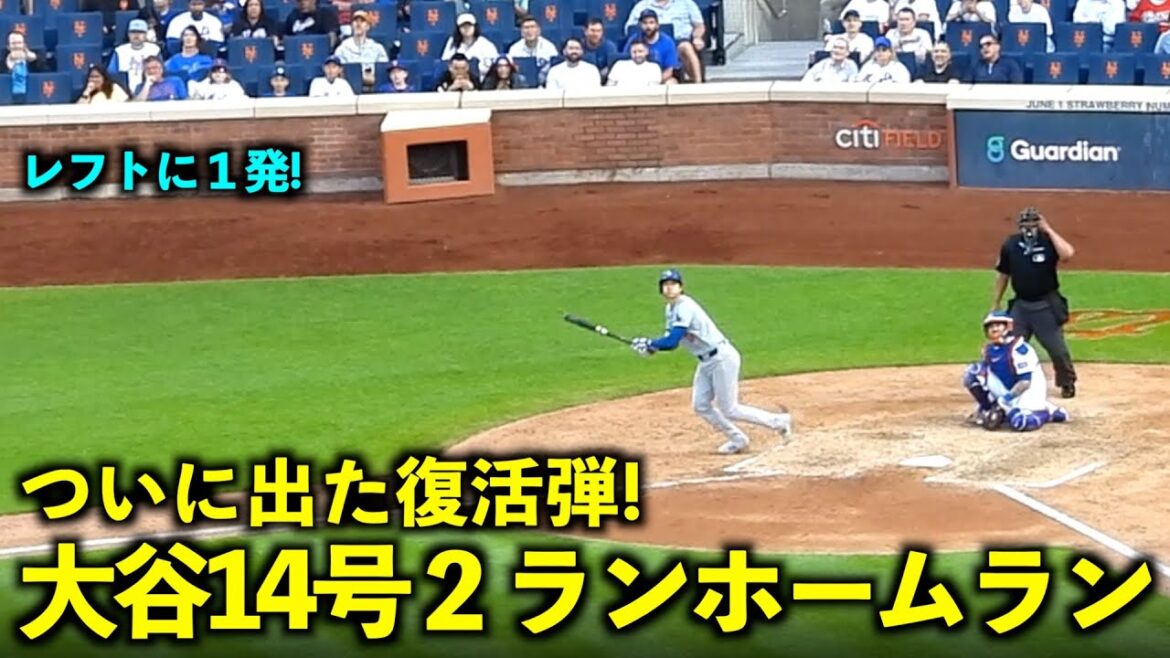La balle de renaissance est enfin sortie ! Le home run à 2 points de Shohei Otani n°14 est trop dangereux ! 30 mai, match 3 des Dodgers contre les Mets