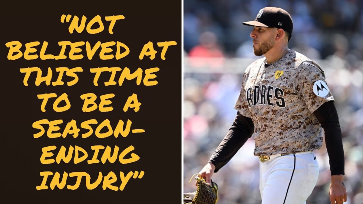 Les Padres envoient à nouveau Joe Musgrove en Illinois