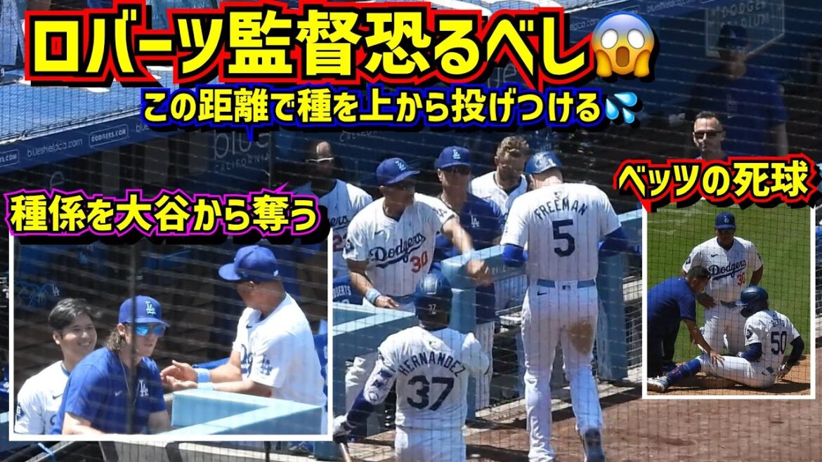 impact!  ️Le manager Roberts, qui a pris le contrôle de Ohtani, est en difficulté 😱 Betts est touché par un lancer et se casse les os 😢[Vidéo locale]6/16 contre Royals ShoheiOhtani Dodgers