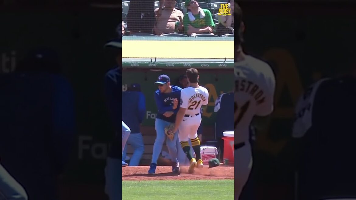 Uniquement au Oakland Coliseum 😭 #shorts #mlb #oaklandathletics #yuseikikuchi #bluejays Uniquement au Oakland Coliseum 😭 #shorts #mlb #oaklandathletics #yuseikikuchi #bluejays