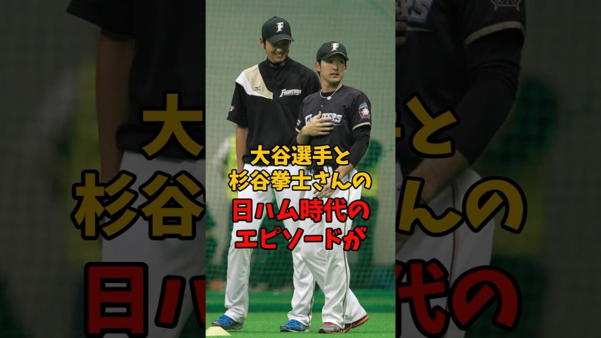 Épisodes des journées de Shohei Otani et Kenji Sugitani au Japon-Ham