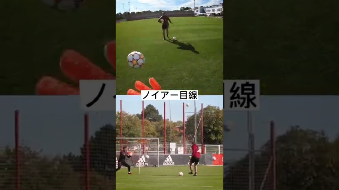 [Le point de vue de Neuer]Si vous connectez une caméra à Neuer...