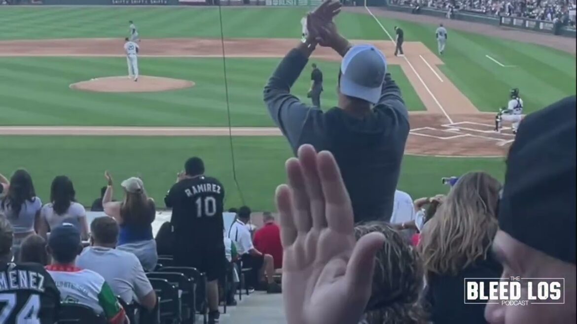Regardez les Dodgers Shohei Ohtani frapper son 25e coup de circuit en NL contre les White Sox