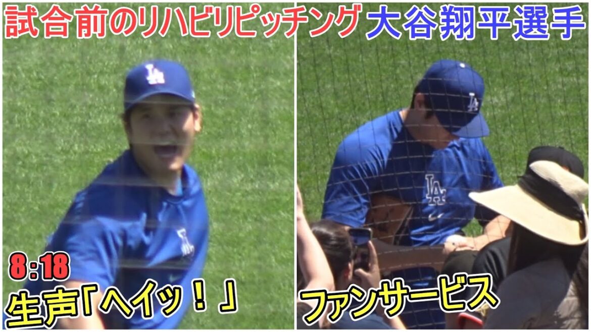 Autographe pour les petits fans des Giants lors de la rééducation d'avant-match et du service aux fans[Shohei Ohtani]contre Giants ~ Match final de la série ~ Shohei Ohtani vs Giants 2024