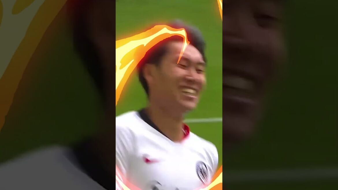 À quoi s'attendre de Daichi 👀 De grandes attentes pour Daichi #cristalpalace #premierleague #japan