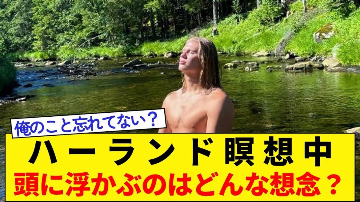 Pendant que vous méditez, Harland★Quel genre de pensées vous traversent l’esprit ? Pendant que vous méditez, Harland★Quel genre de pensées vous traversent l'esprit ?