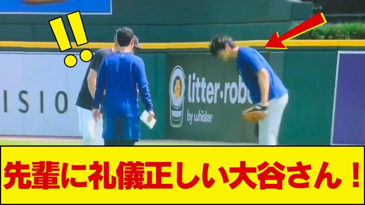 Maeken court vers Otani, puis Shohei... tout le monde est choqué par le comportement trop poli d'Otani ! C'est comme ça qu'il est bon !  !  !  #Shohei Otani Dernières nouvelles télévisées du jour #NanJ