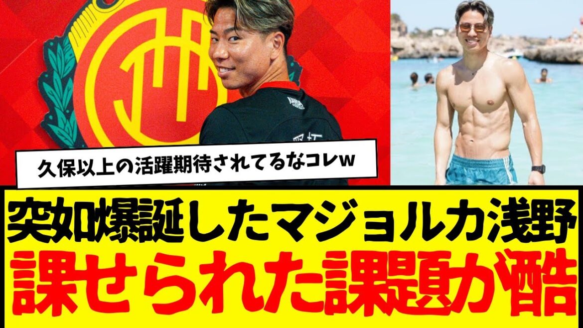 Majorque Asano a un petit défi... mdr Je suppose que je vais juste devoir le surmonter avec rapidité et chance.