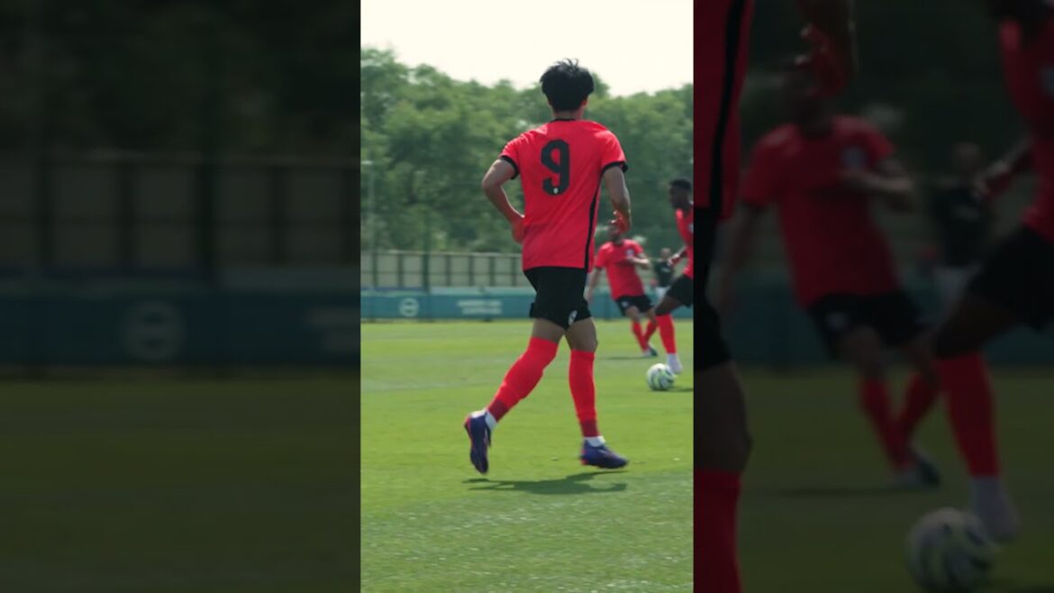 Mitoma est de retour !  🇯🇵 #kaorumitoma #japan #mitoma #brightonandhovealbion