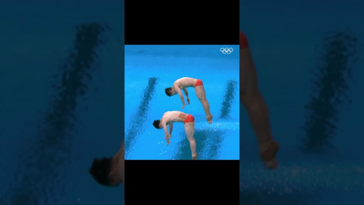 Les médaillés d'or du tremplin 3 m synchronisé masculin à Tokyo 2020 Wang Zongyuan et Xie Siyi ! 🥇🇨🇳