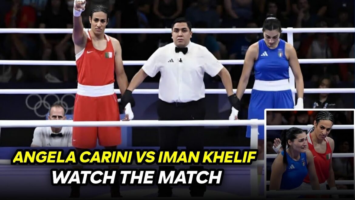 Olympics 2024 Angela Carini vs Imane Khelif ( Real Fight)