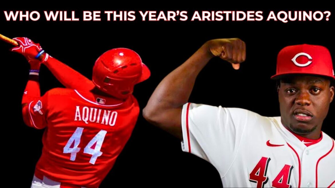 QUI SERA L'ARISTIDES AQUINO DE CETTE ANNÉE ? | #fantasybaseball #fantasybaseballadvice