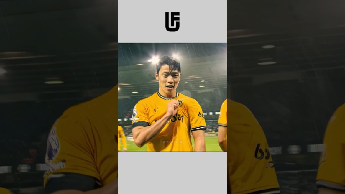Hwang Hee-chan, le taureau à la tête de l'armée des loups🔥#best #football #shorts #short #Hwang Hee-chan #Wolverhampton #Special