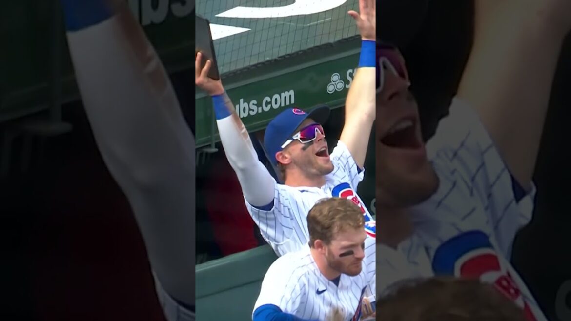 Seiya reste sexy ! Seiya reste sexy !