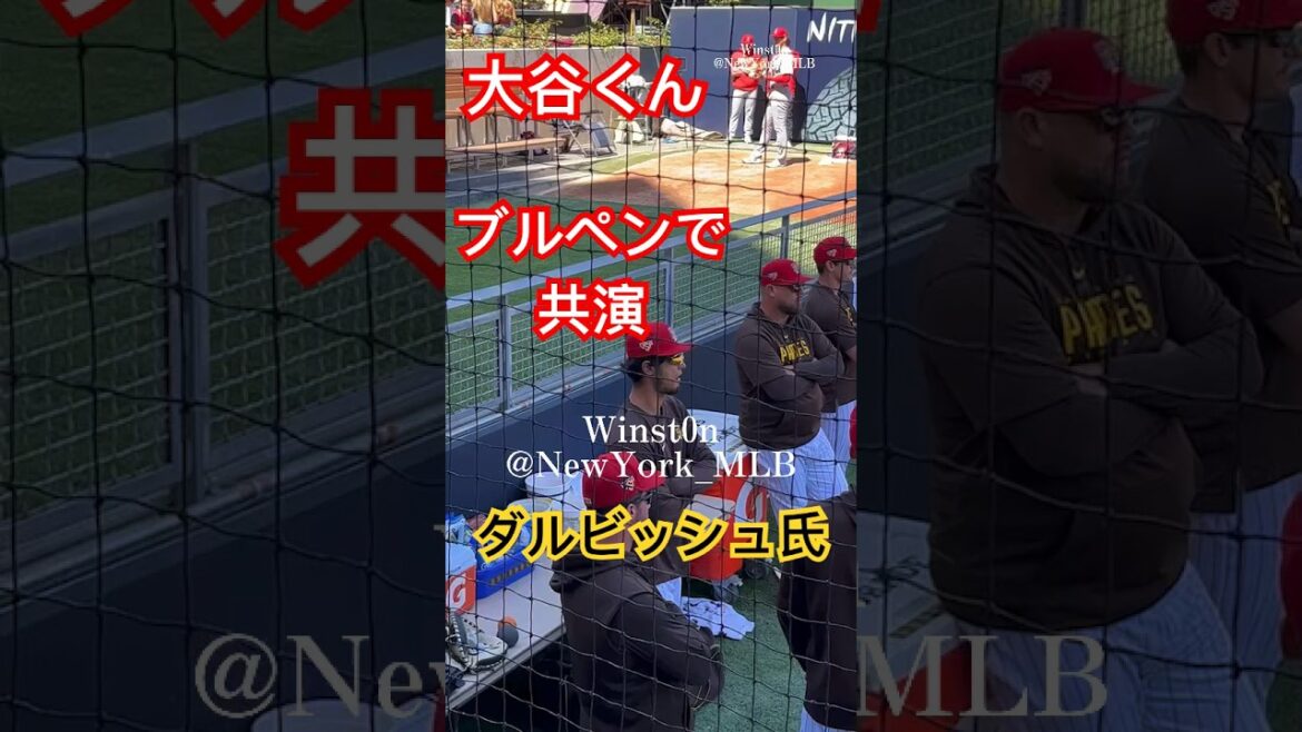 [Images locales]Otani et Darvish co-vedette dans l'enclos des releveurs ! Padres 7.4.2023