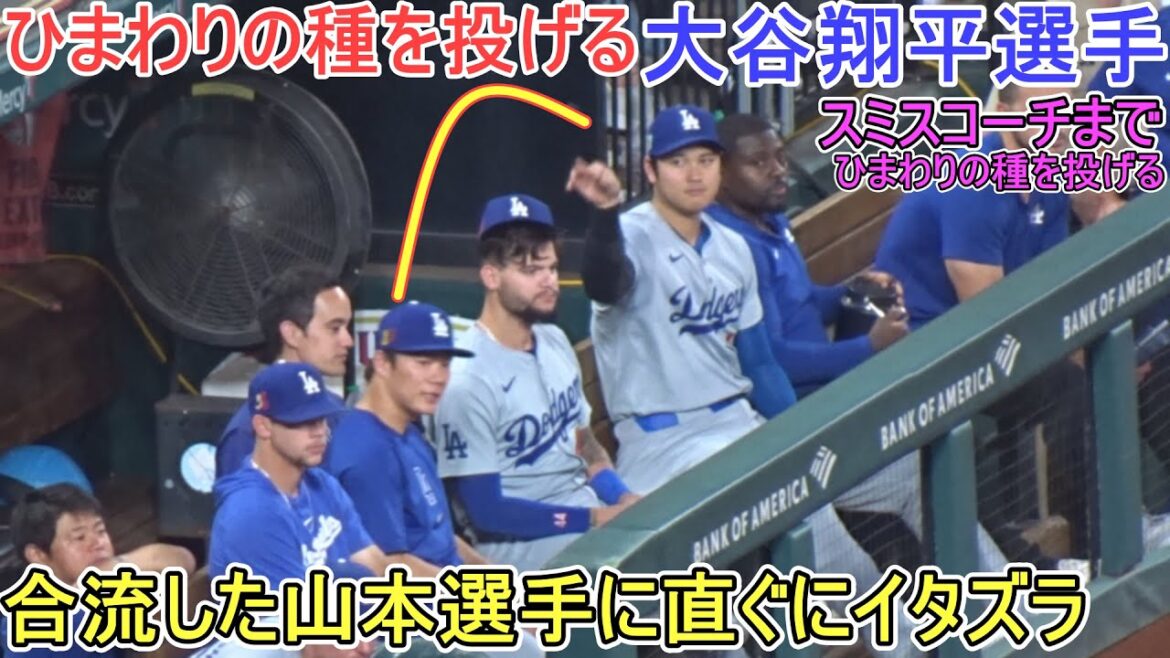 Pichet farceur Yoshinobu Yamamoto avec des graines de tournesol ~ L'entraîneur Smith lance également des graines de tournesol ~[Shohei Ohtani]~ Premier match de la série ~ Shohei Ohtani vs Cardinals 2024