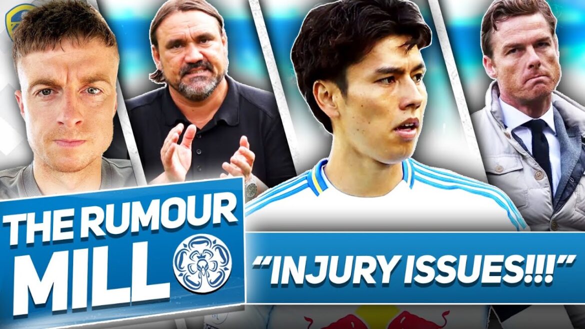 Joyau de la fenêtre de transfert ! | MISE À JOUR AO Tanaka | Problème Parker - Actualités de Leeds