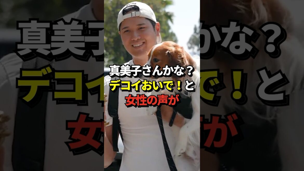 ㊗️700 000 vues ! *Voix incluse Une femme appelle le Dekopin détenu par Shohei Otani : « Allez leurre ! C'est devenu un sujet brûlant que ce soit Mme Mamiko ! #shorts #Shohei Otani #baseball