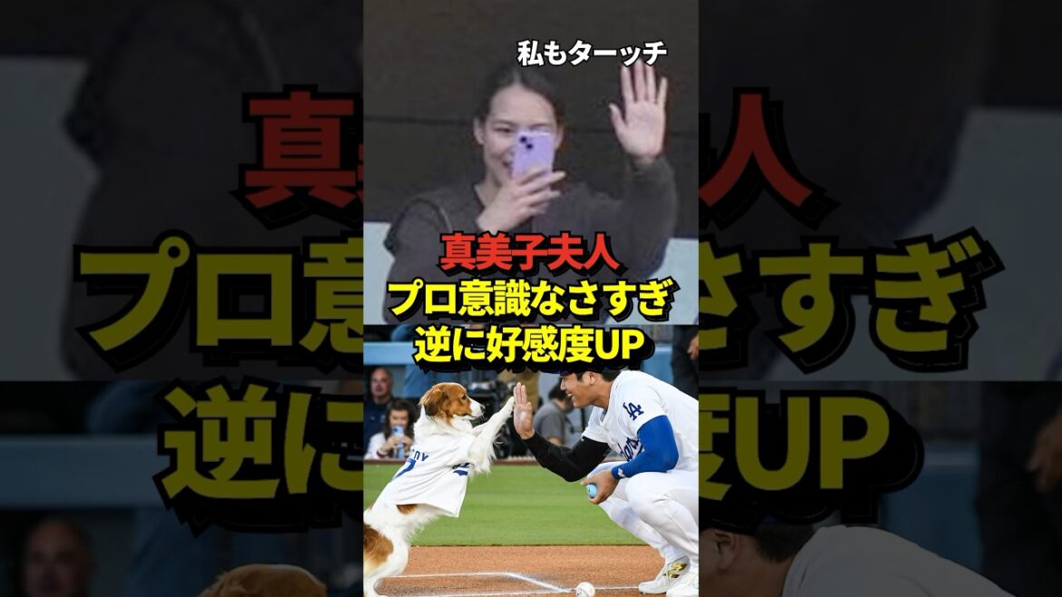 ㊗️400 000 vues ! *Il existe des preuves. Mme Mamiko n’a-t-elle aucun professionnalisme ? Un fait scandaleux a été découvert grâce à des observations en observant le stade ! Les gens disaient à quel point il n’était pas un professionnel ! #shorts #Shohei Otani #baseball ㊗️400 000 vues ! *Il existe des preuves. Mme Mamiko n'a-t-elle aucun professionnalisme ? Un fait scandaleux a été découvert grâce à des observations en observant le stade ! Les gens disaient à quel point il n’était pas un professionnel ! #shorts #Shohei Otani #baseball