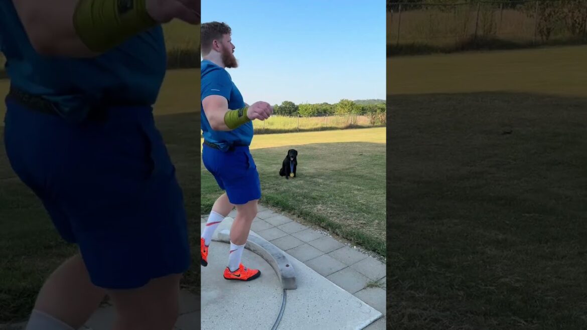 Le médaillé d'or le plus mignon ? 🥇🐶📹 : rcrouser #Olympics #Paris2024 #Sports