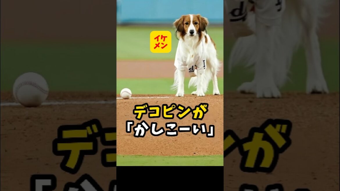 [Shohei Otani]Le pin déco est « cool »🐶😍 #shorts #baseball #Shohei Otani #mlb
