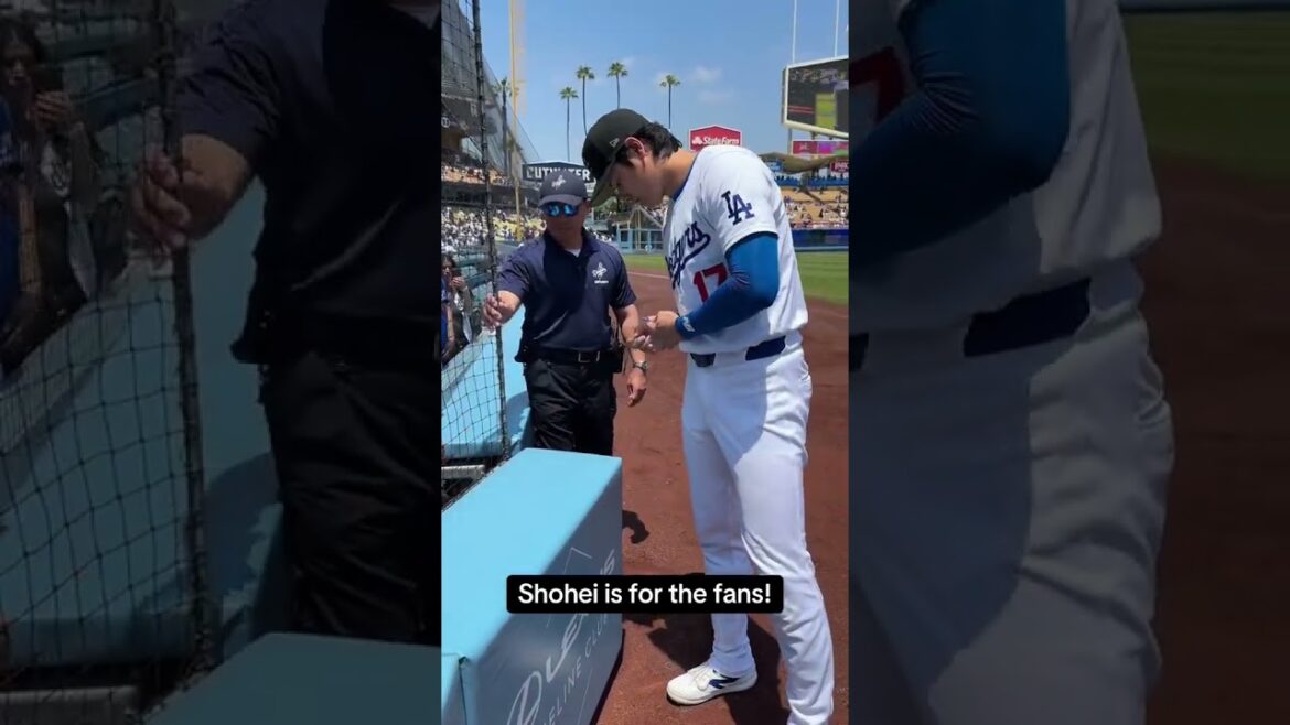 Shohei a fait l'année de ce gamin ❤️ (via @Los Angeles Dodgers/TT) #shorts
