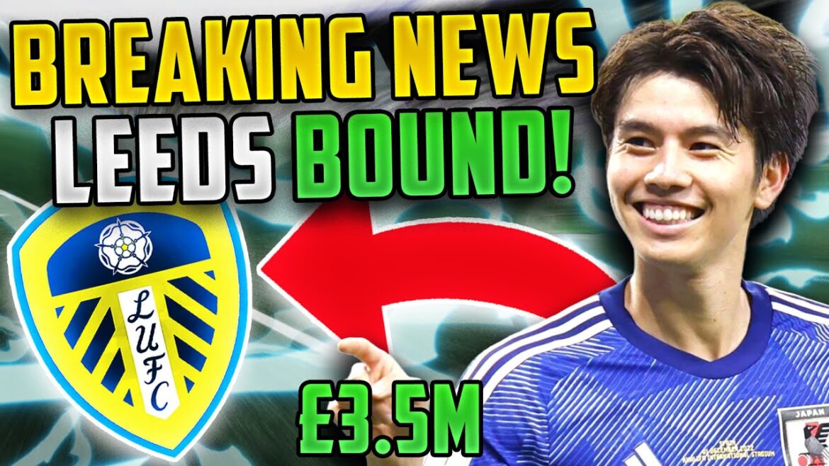 Ao Tanaka à Leeds ! Mises à jour de Gustavo Hamer ? - Actualités de Leeds !