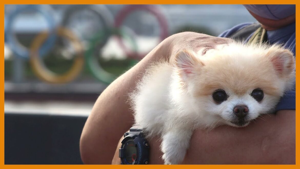 Diaporama : En marge des Jeux olympiques de Tokyo