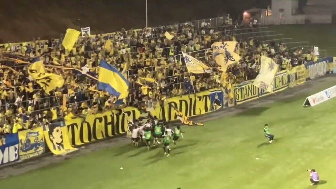 Tochigi SC deuxième mi-temps prolongation scène PK de Minamino (venant de l'arrière du but)