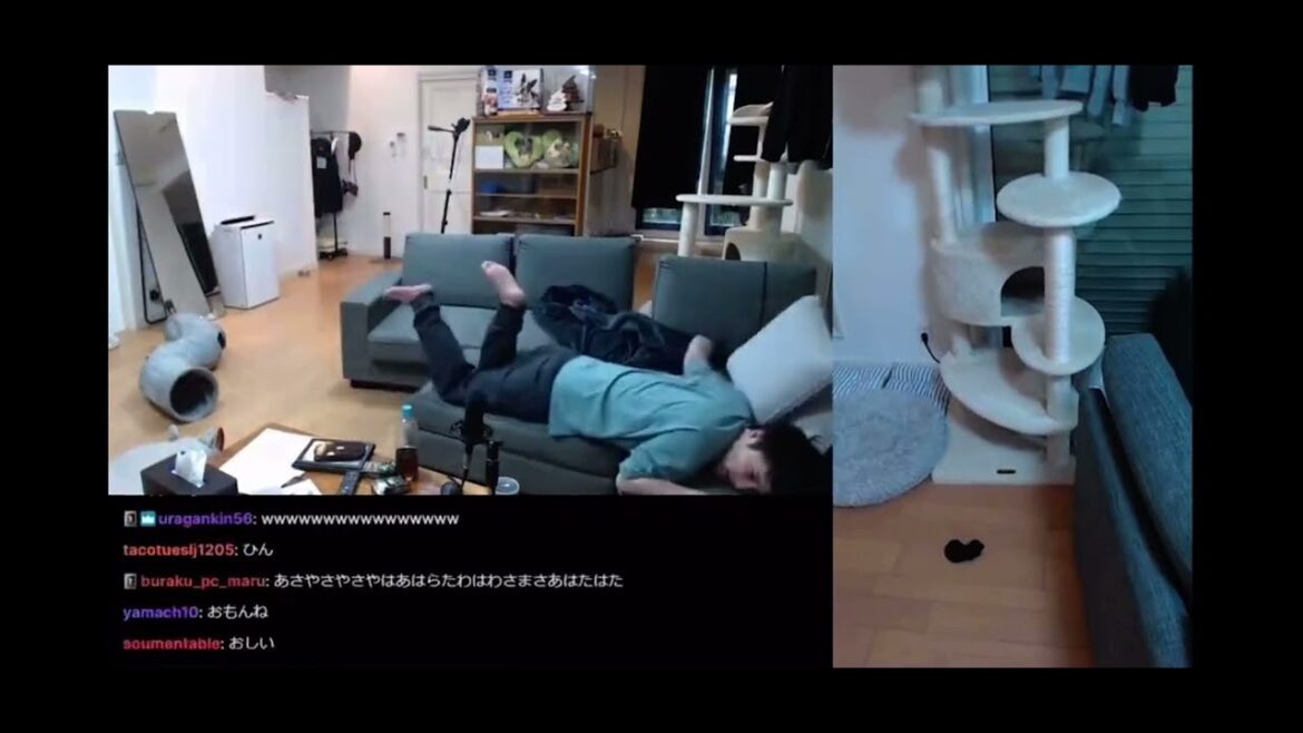 Unko-chan montre toutes ses joies, colères, chagrins et chagrins en un instant #wbc