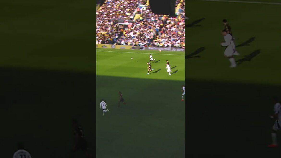 Ao Tanaka = joueur de milieu de terrain 🇯🇵