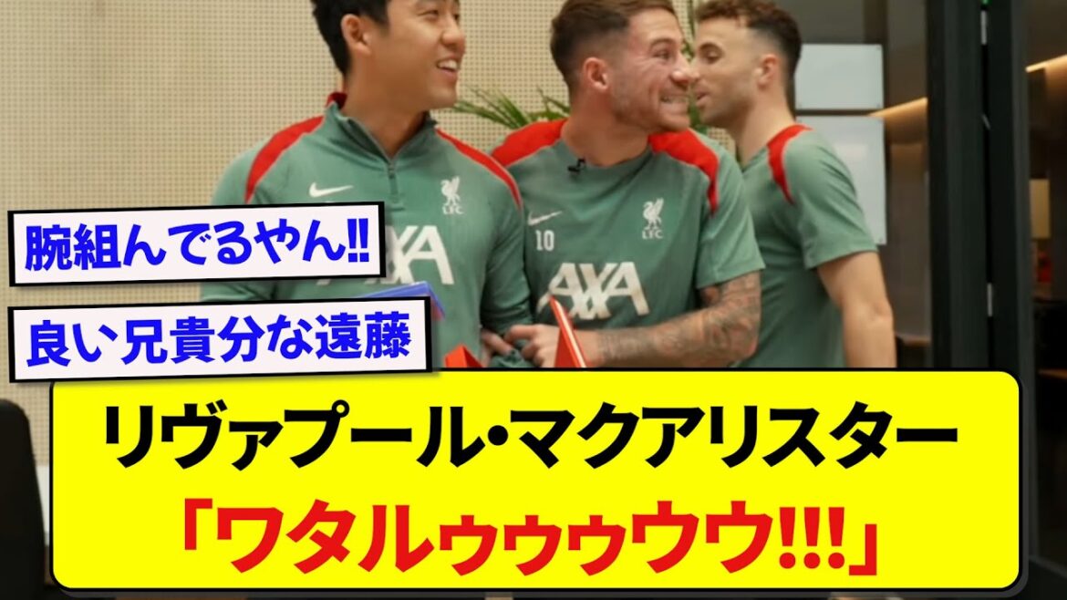 [Bonne nouvelle]On dit que McAllister de Liverpool aime trop le représentant japonais Wataru Endo mdr
