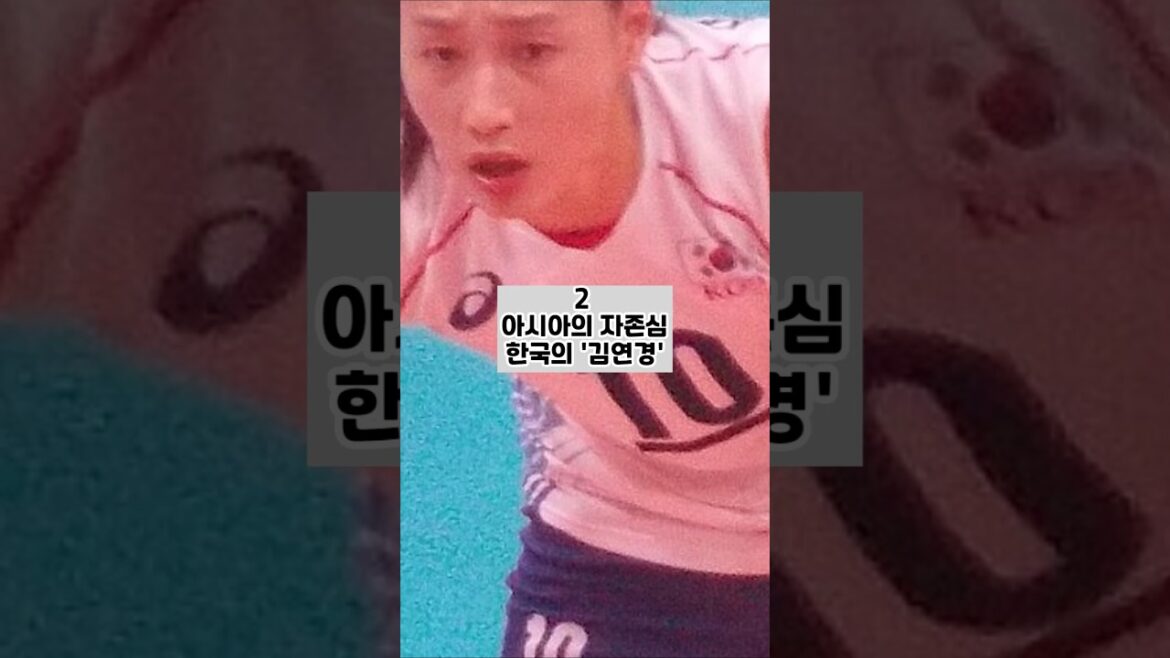 김연경이 얼마나 대단한지 난 몰랐다